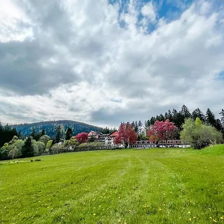 Prokop Apartman *