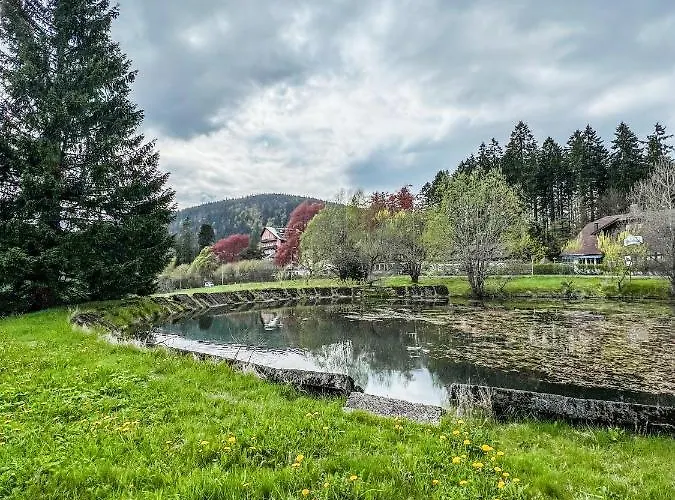 Prokop * Železná Ruda